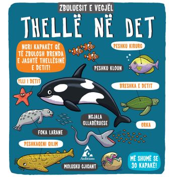 Zbuluesit e vegjel (Thelle ne det)